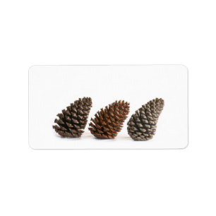 Drei pinecones adressaufkleber