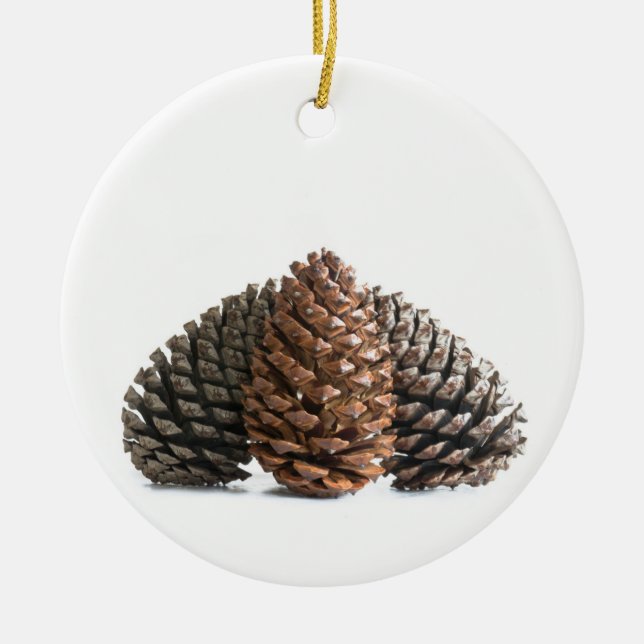 Drei pinecones keramikornament (Vorne)
