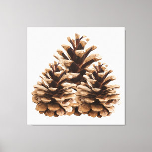 Drei pinecones leinwanddruck