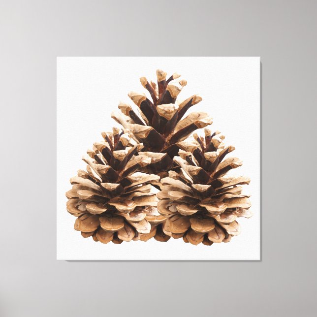 Drei pinecones leinwanddruck (Vorderseite)