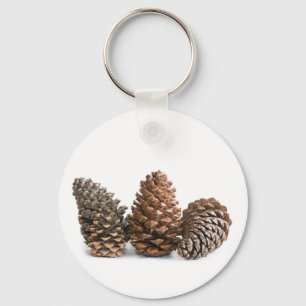 Drei pinecones schlüsselanhänger