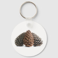 Drei pinecones
