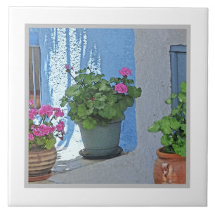 DREI PINKGERANIEN/BLAUE WALL FLIESE