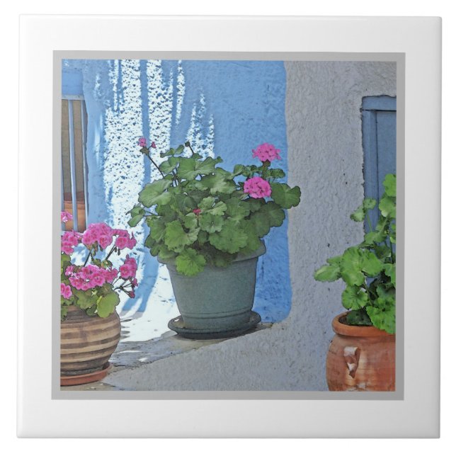 DREI PINKGERANIEN/BLAUE WALL FLIESE (Vorderseite)