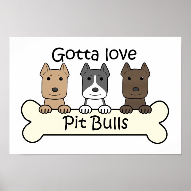 Drei Pitbullen Poster (Vorne)