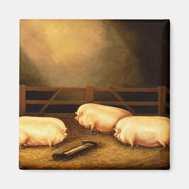 Drei Preisschweine außerhalb eines Stys Magnet (Vorne)