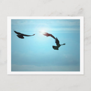 Drei Reihen Postkarte