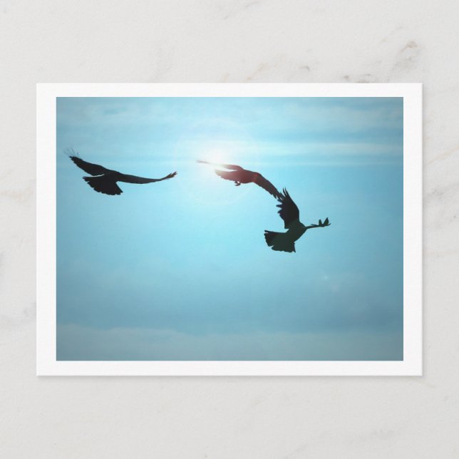 Drei Reihen Postkarte (Vorderseite)