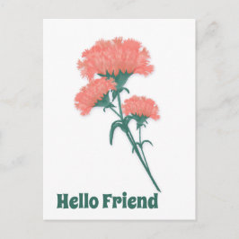 Drei rosa Nelken, Hallo Freund Postkarte