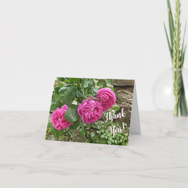 Drei rosa Rosen/Danke! (Vorderseite)