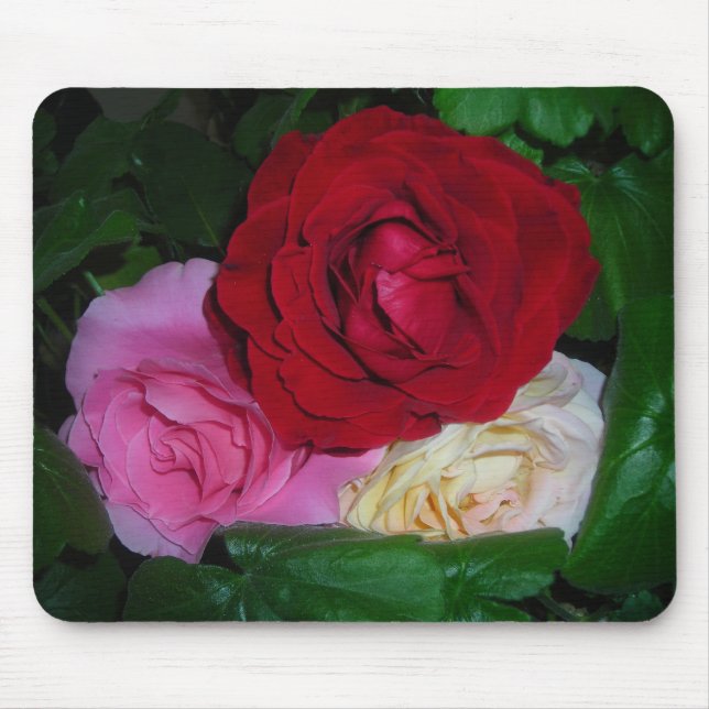 DREI ROSE MOUSEPAD (Vorne)