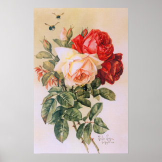 Drei Rose Vintage Poster