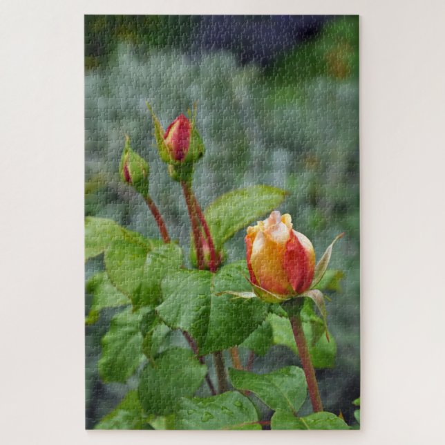 Drei Rosenknospen Puzzle (Vertikal)