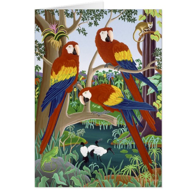 Drei rote Macaws (Vorne)
