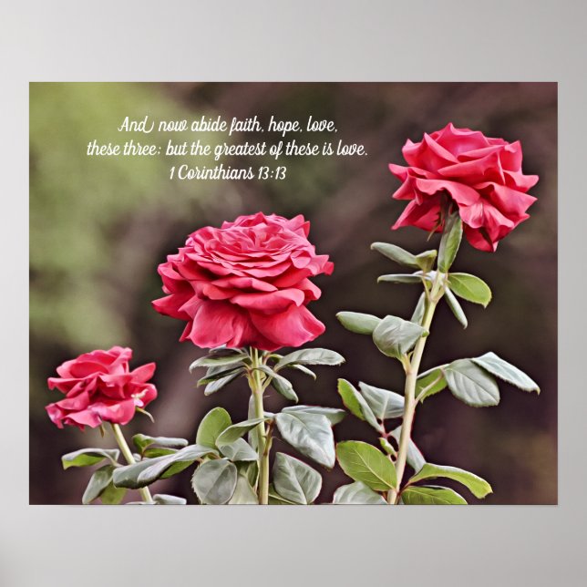 Drei Rote Rosen Schrift 1 Korinther 13:13 Poster (Vorne)