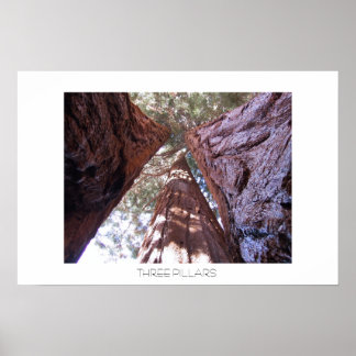 Drei Säulen Poster