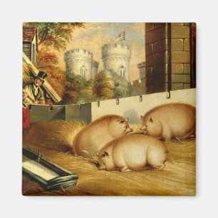 Drei Schweine mit Schloss im Hintergrund Magnet