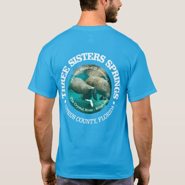 Drei Schwesternfedern (rd) T-Shirt (Rückseite)