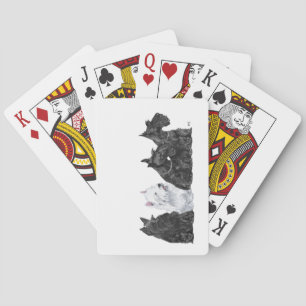 Drei Scotties und ein Westie Spielkarten