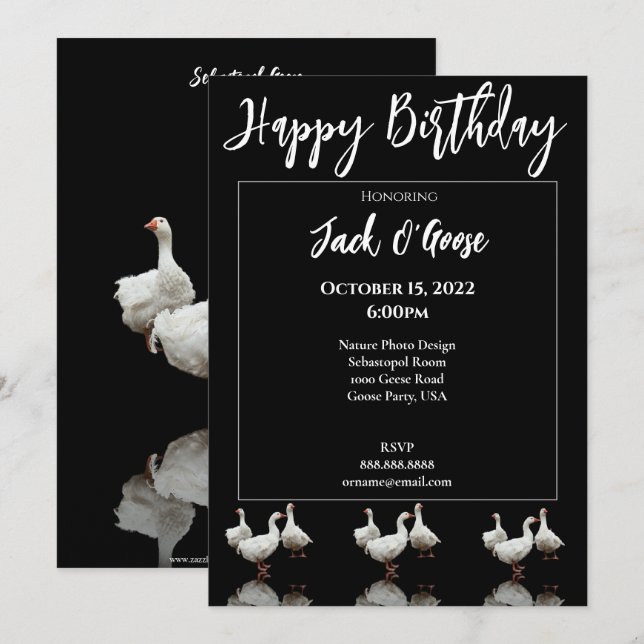 DREI SEBASTOPOL GEESE BLACK GEBURTSTAGEINLADUNG EINLADUNG (Vorne/Hinten)