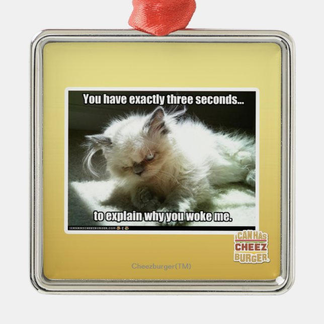 Drei Sekunden Silbernes Ornament (Vorne)