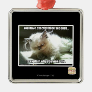 Drei Sekunden Silbernes Ornament