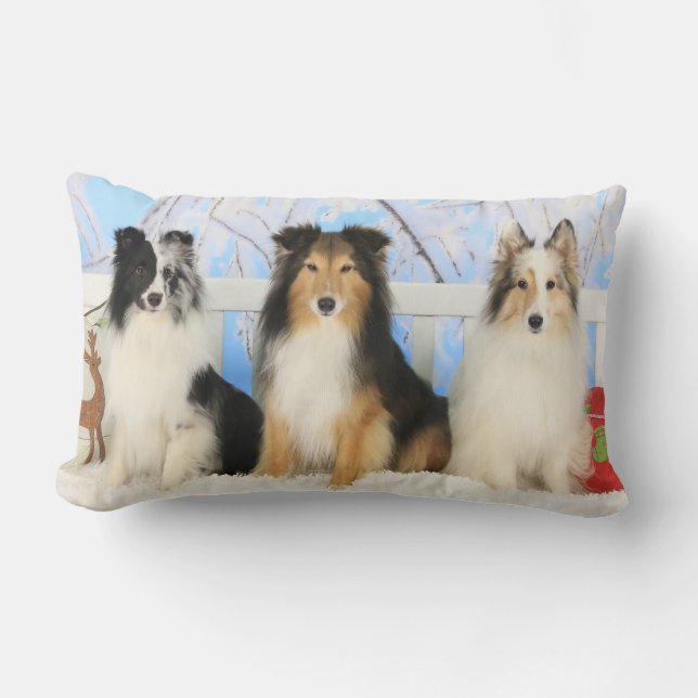 Drei Sheltie Farbweihnachten Lendenkissen (Vorderseite)