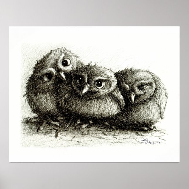 Drei so Niedliche Baby Owls Poster (Vorne)
