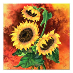 Drei Sonnenblumen Poster