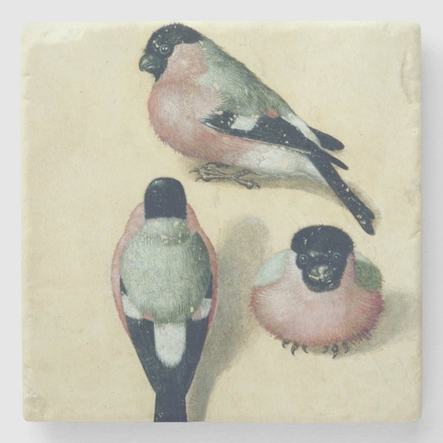 Drei Studien eines Bullfinch Steinuntersetzer (Vorderseite)