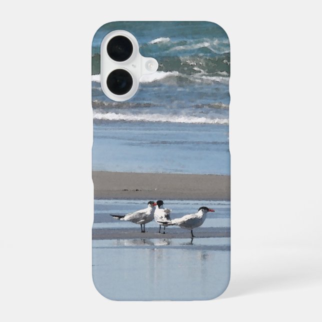 Drei Terns am Strand iPhone 16 Hülle (Rückseite)
