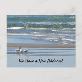 Drei Terns am Strand Postkarte