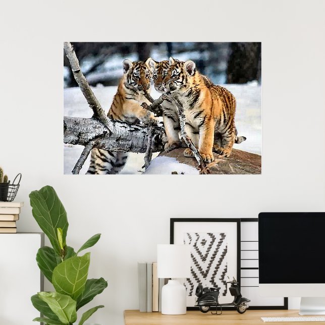 Drei Tiger-Cubs beim Spielen Poster (Heimbüro)