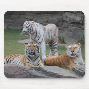 Drei Tiger Mousepad