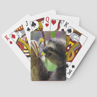 Drei-Toed Baum-Trägheit Spielkarten