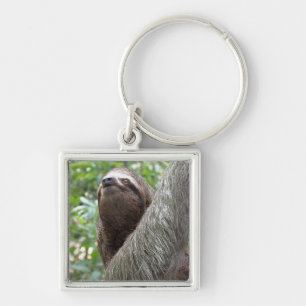 Drei Toed Sloth-Schlüsselanhänger Schlüsselanhänger