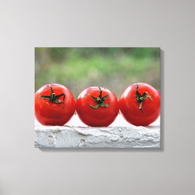 Drei Tomaten auf der Mauer Leinwanddruck (Vorderseite)