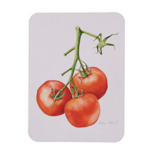 Drei Tomaten auf der Rebe 1997 Magnet