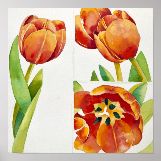Drei Tulpenstudien im Jahr 2013 Poster (Vorne)