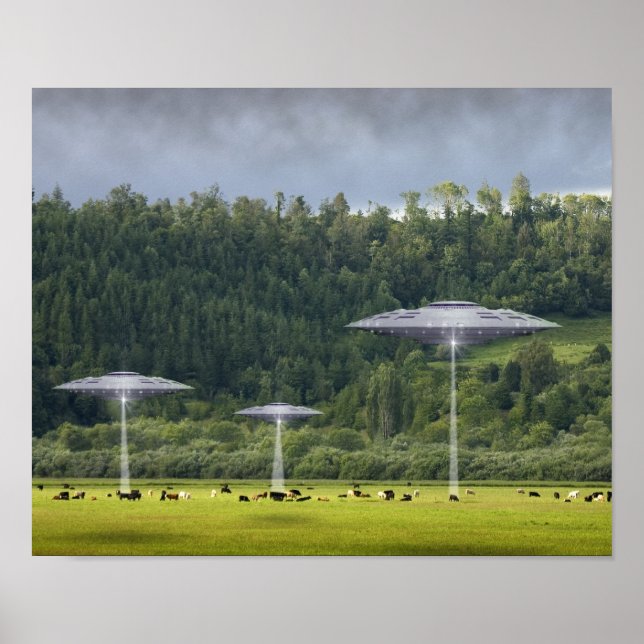 Drei UFOs mit dem Feld des Kühen-Posters Poster (Vorne)