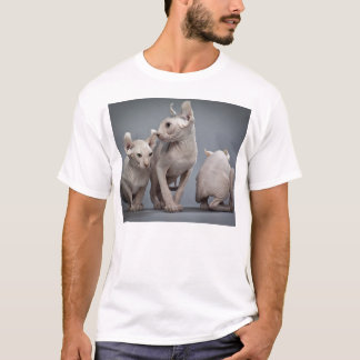 Drei unbehaarte Katzen T-Shirt