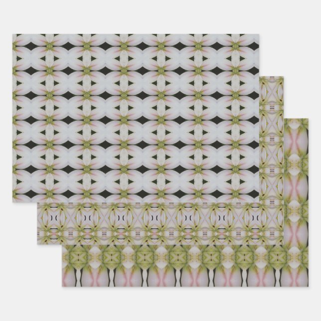 Drei unterschiedliche Designs Geschenkpapier Set (Set)