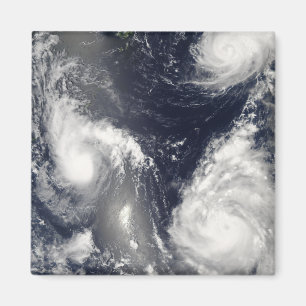 Drei verschiedene Taifune Magnet