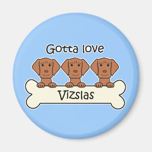 Drei Vizslas Magnet