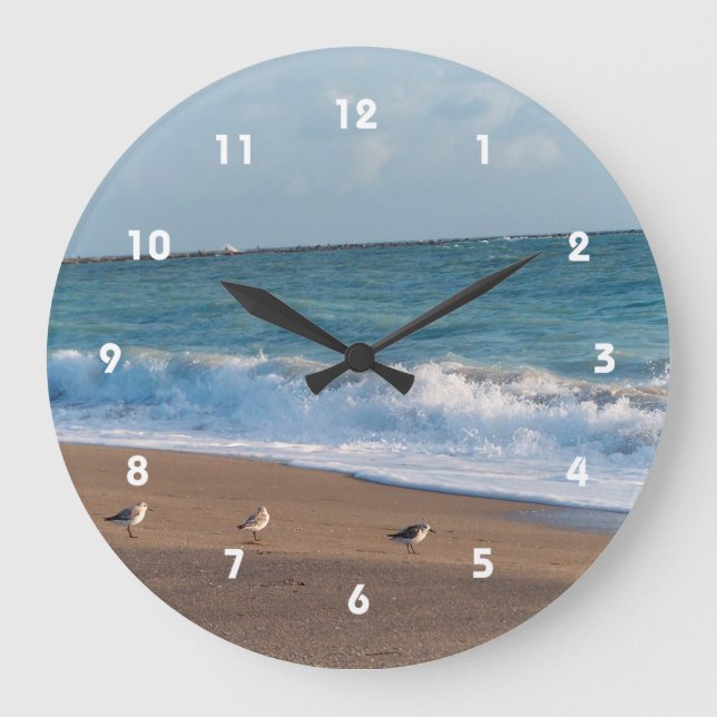 drei Vögel am Strand Foto Florida Runde Wanduhr (Vorderseite)