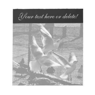 Drei Vögel Notizblock