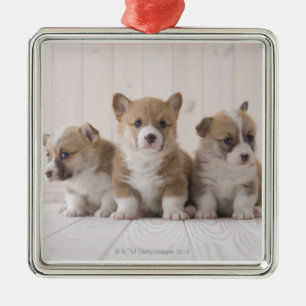 Drei Waliser Corgi Ornament Aus Metall