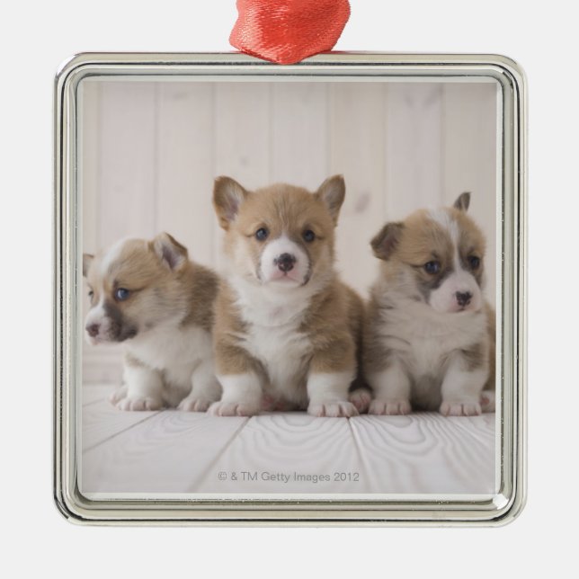 Drei Waliser Corgi Ornament Aus Metall (Vorne)