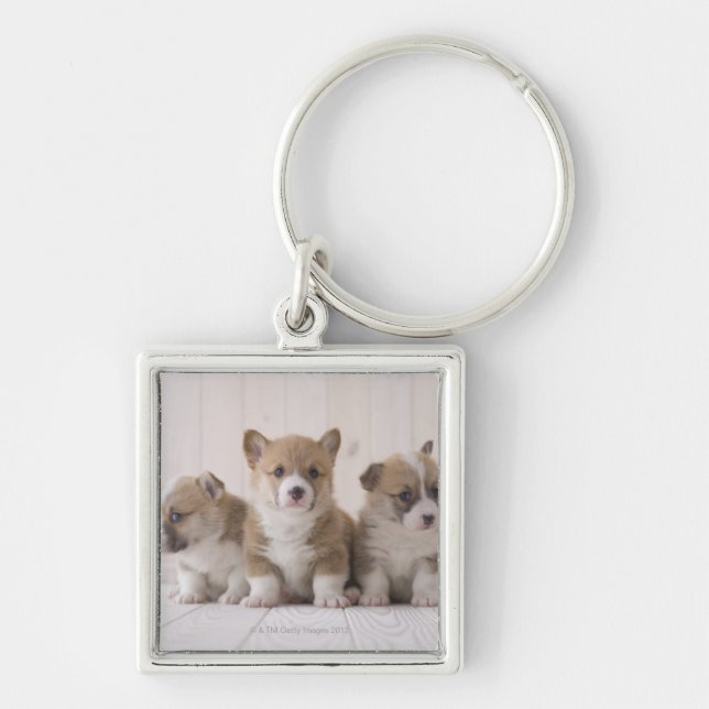Drei Waliser Corgi Schlüsselanhänger (Vorne)