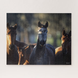Drei Warmblüten, Stehend hintergrundbeleuchtet Puzzle